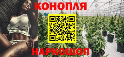 шишки Кимры