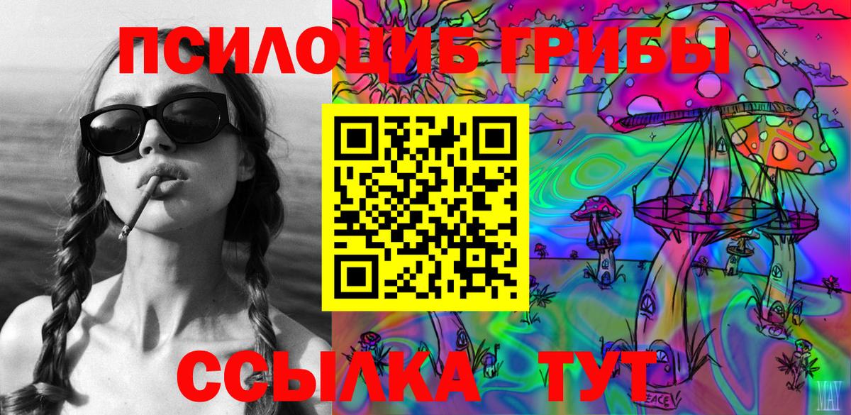 купить закладку  Псилоцибиновые грибы Cubensis  Киров  Вход с VPN  Галлюциногенные грибы ЛСД 