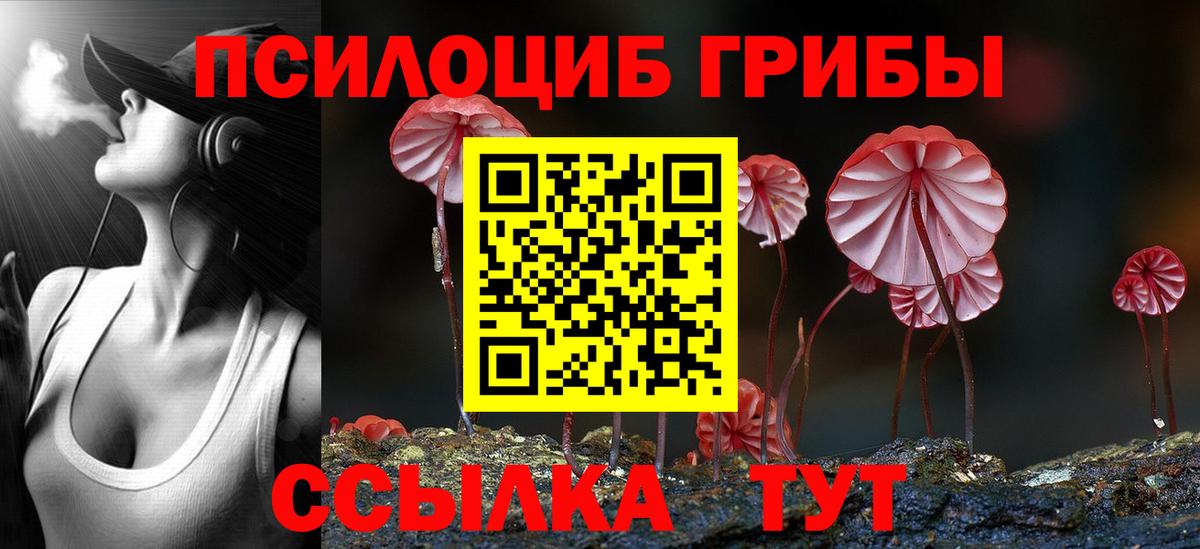 Псилоцибиновые грибы мухоморы Киров